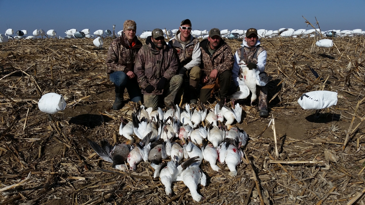 Missouri Snow Goose Hunting Photo